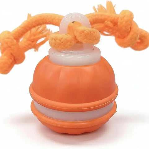 P06 Auto-Rolling Interactive Dog Ball with Rope
