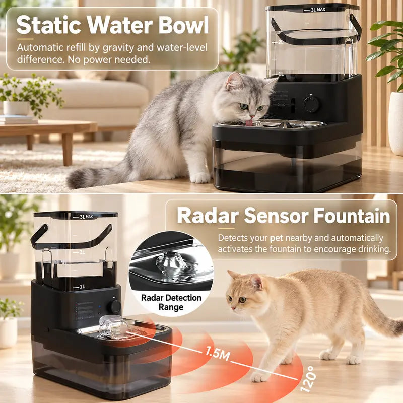 Motion-activated
