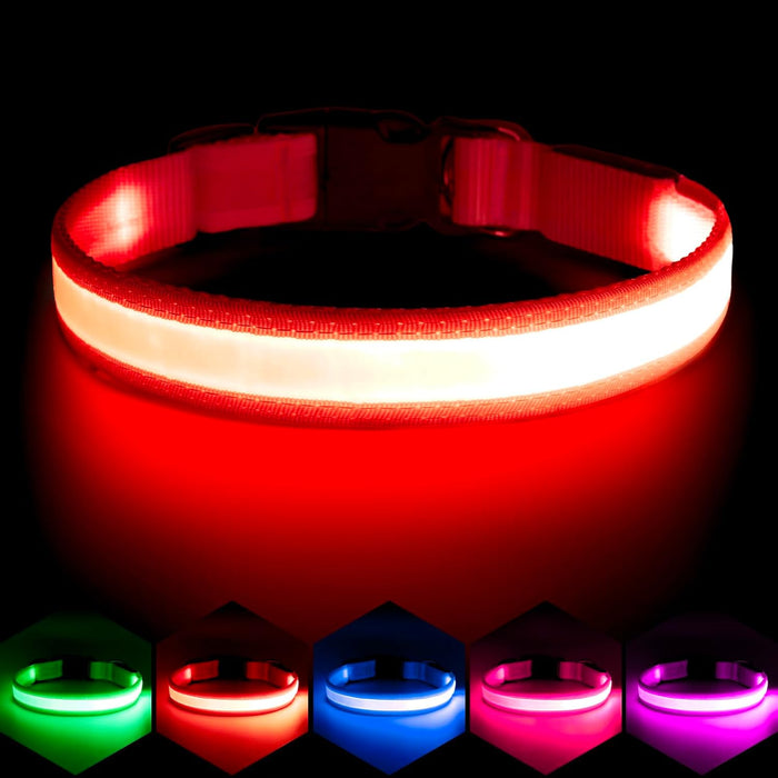 VIZPET LED Light-Up Dog Collar, USB Rechargeable, Red (M)