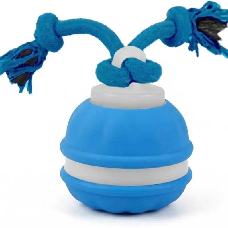 P06 Chew-Resistant Interactive Dog Ball Set, Electric Auto-Moving Rolling Toy with Rope for Small/Medium Dogs, Reduces Boredom, Aids Training, Includes Squeaky Spinning Toy