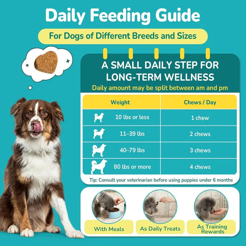 Anal Gland Chews for Dogs, 200Ct with Pumpkin Probiotics & Digestive Enzymes, No Scoot Advance Anal Gland Dog Treats, Reduce Scooting Fishy Odor and Stool, Chicken Flavor