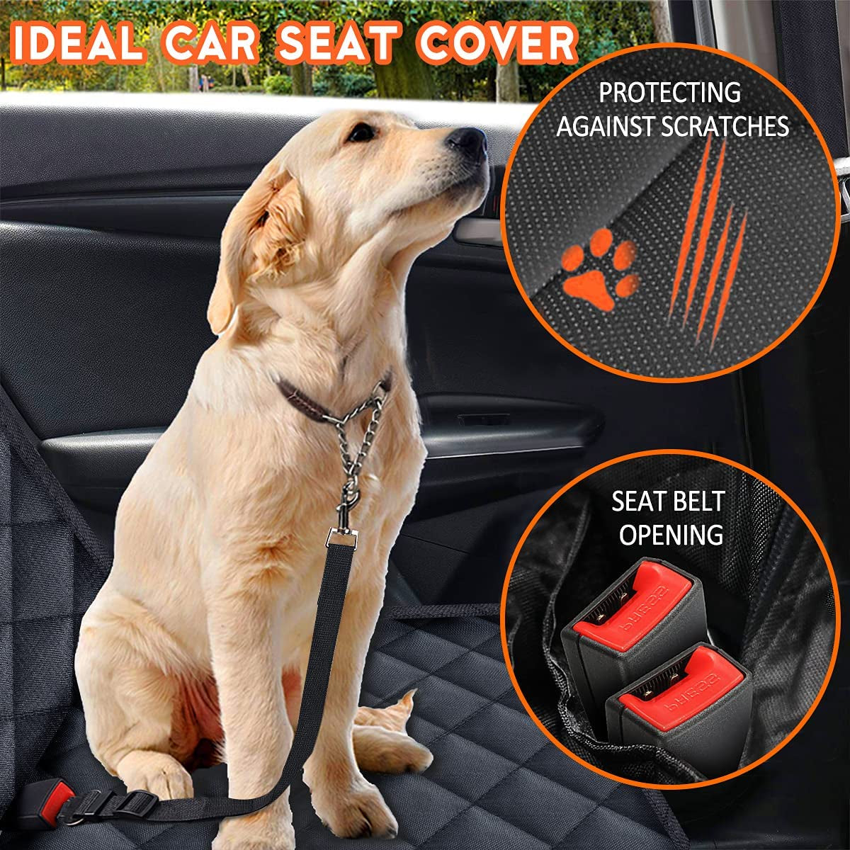 Protects from paws and juice