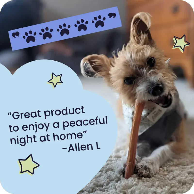 Pawstruck 5 Pack Bully Sticks with Bonus Inch for Dogs