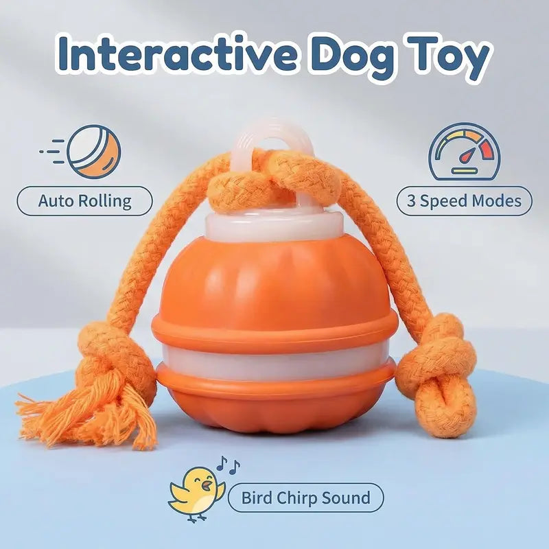 Fast, slow or interactive