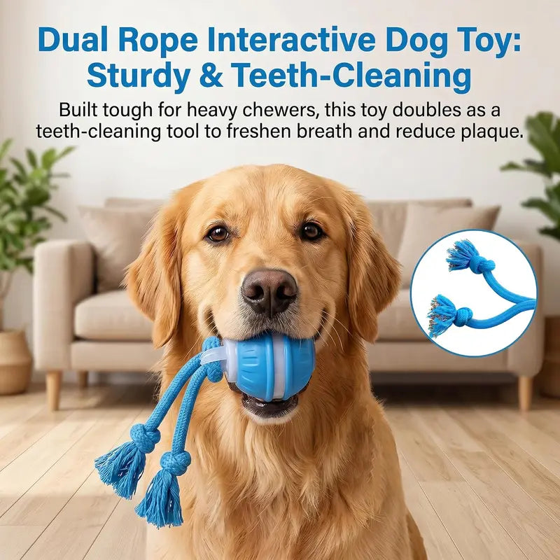 P06 Chew-Resistant Interactive Dog Ball Set, Electric Auto-Moving Rolling Toy with Rope for Small/Medium Dogs, Reduces Boredom, Aids Training, Includes Squeaky Spinning Toy