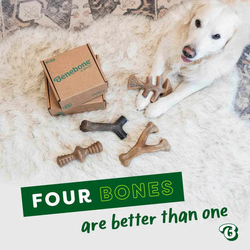 Benebone Durable Dog Chew Toy Limited Edition Venison Chew Collection (4-Pack)