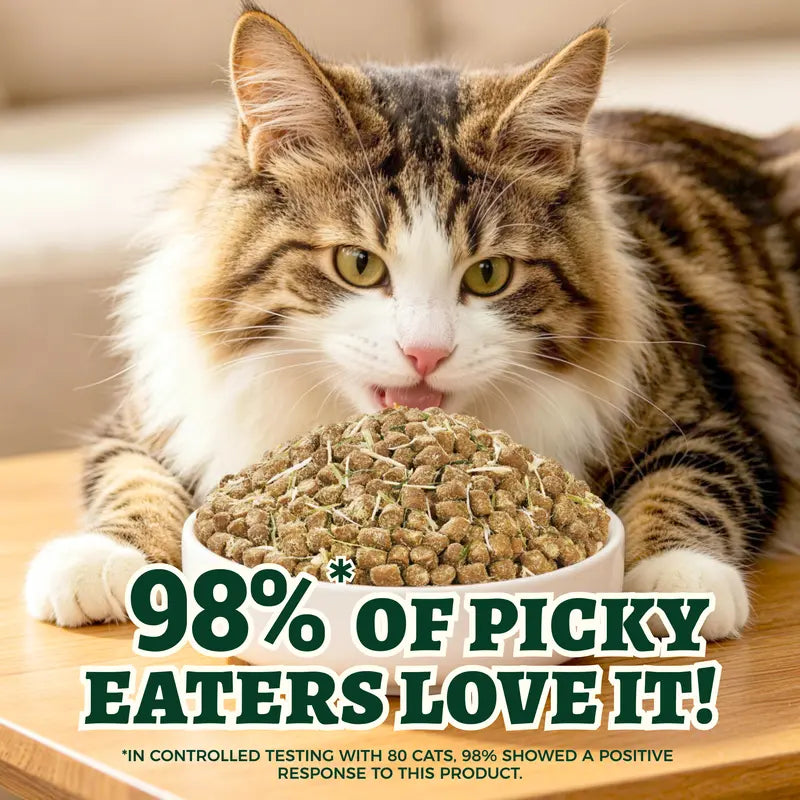 Wellix 63.5Oz Hairball Aid Dry Cat Food, High-Protein Grain-Free Formula with Fresh Poultry Varieties, No Artificial Attractants，#Sohochic