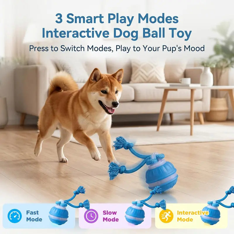 P06 Chew-Resistant Interactive Dog Ball Set, Electric Auto-Moving Rolling Toy with Rope for Small/Medium Dogs, Reduces Boredom, Aids Training, Includes Squeaky Spinning Toy
