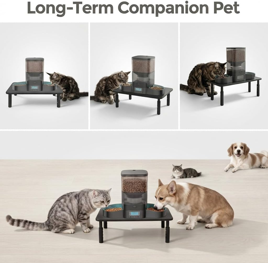 Raised Automatic Cat Feeder Stand for Double Bowl Feeders, Carbon Steel 14.57 X 9.25 In, 3 Adjustable Heights 3.94-5.5 In, Non-Slip, Fits Feeders & Water Dispensers, No-Drill (Black)