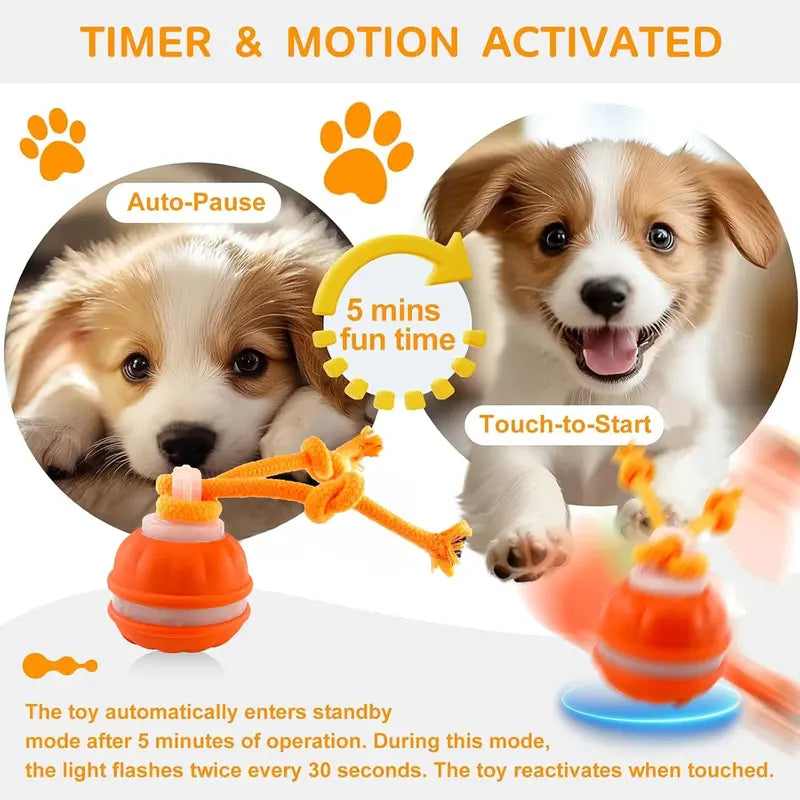 P06 Chew-Resistant Interactive Dog Ball Set, Electric Auto-Moving Rolling Toy with Rope for Small/Medium Dogs, Reduces Boredom, Aids Training, Includes Squeaky Spinning Toy