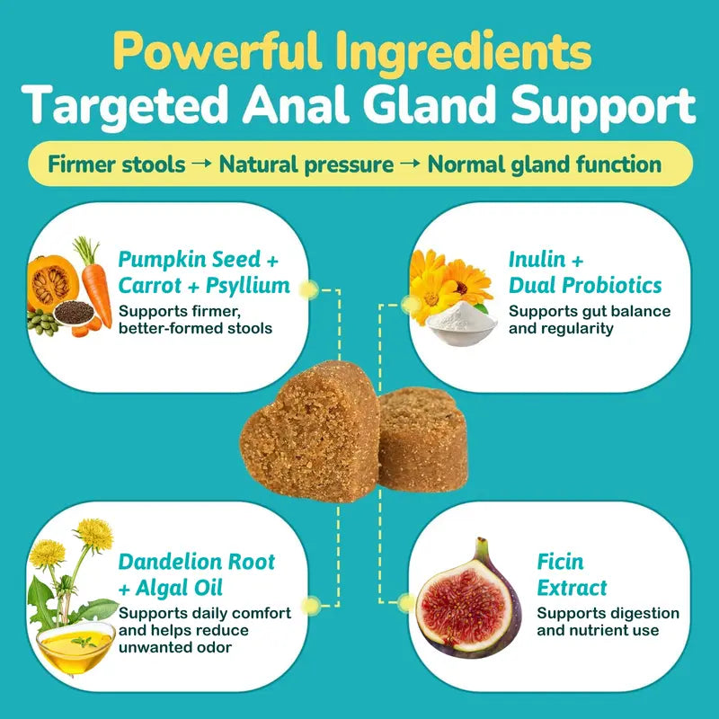Anal Gland Chews for Dogs, 200Ct with Pumpkin Probiotics & Digestive Enzymes, No Scoot Advance Anal Gland Dog Treats, Reduce Scooting Fishy Odor and Stool, Chicken Flavor
