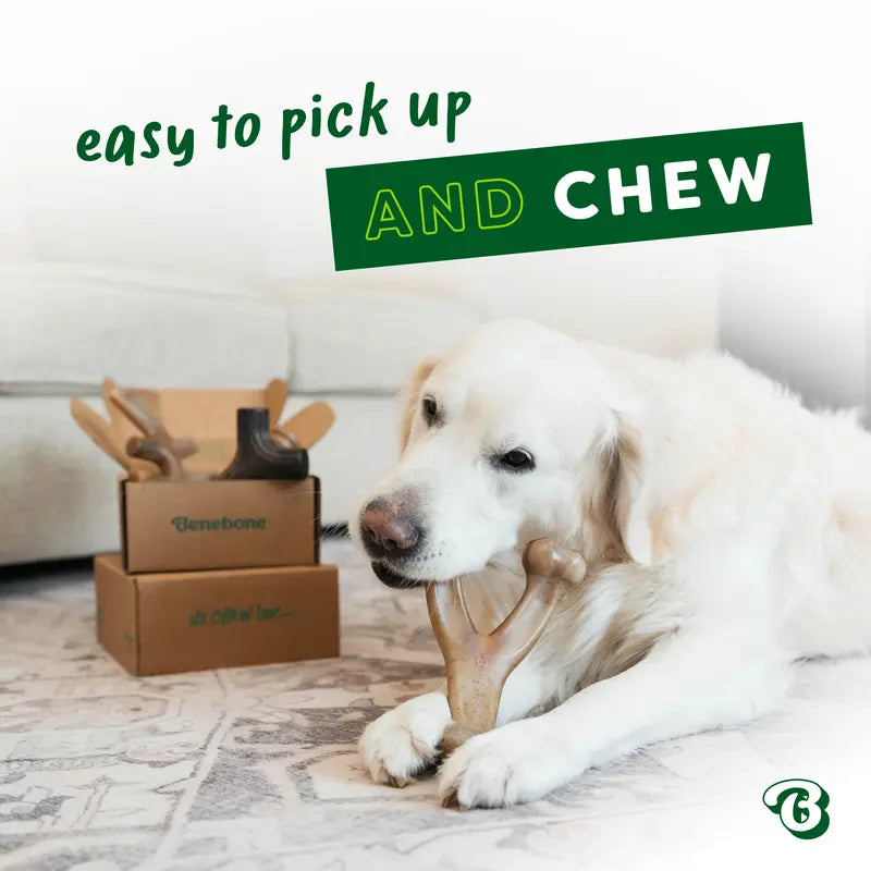 Built for serious chewing