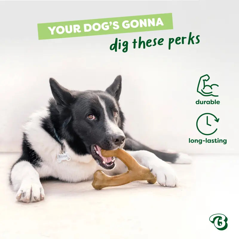 Benebone Durable Dog Chew Toy Limited Edition Venison Chew Collection (4-Pack)