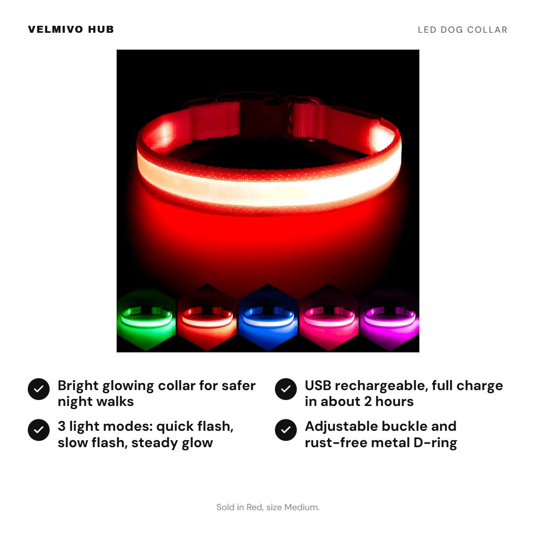 LED dog collar benefits