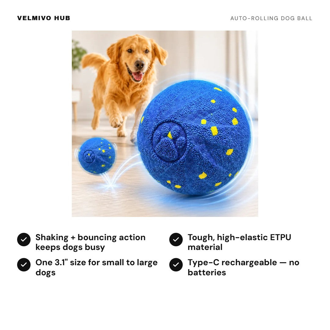 Auto-rolling dog ball benefits