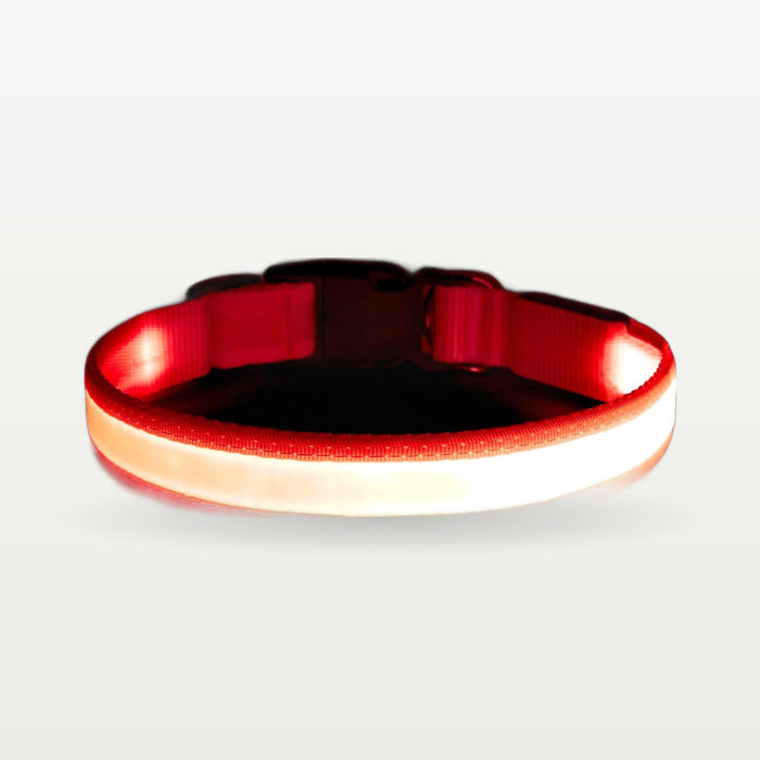LED Light-Up Dog Collar – USB Rechargeable