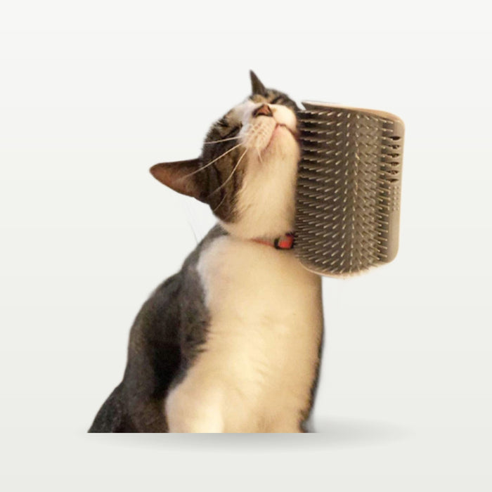 Corner Self-Groomer with Catnip (2-Pack)
