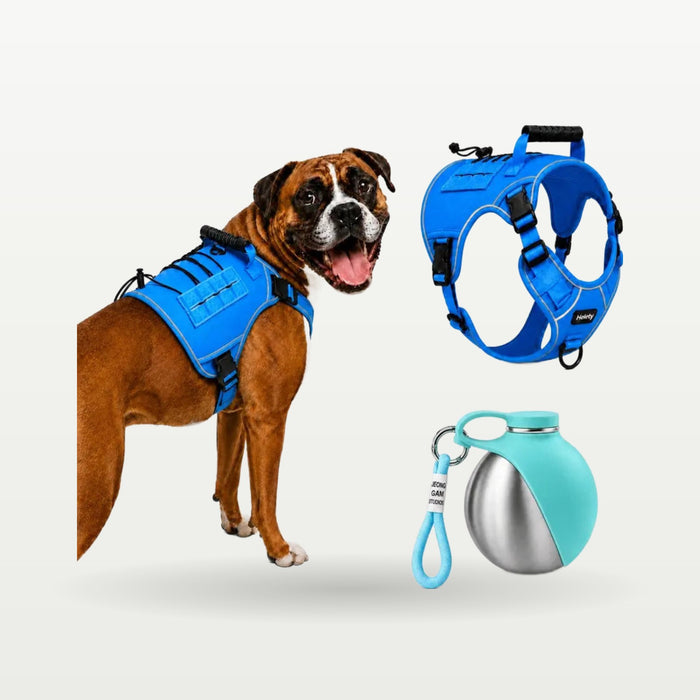Tactical Dog Harness Set with Water Bottle