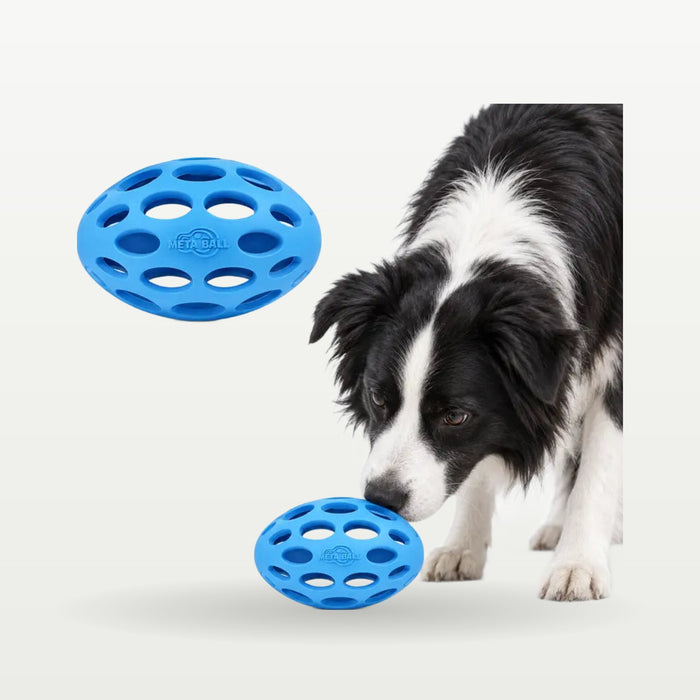 Fruit Print Squeaky Rubber Dog Ball
